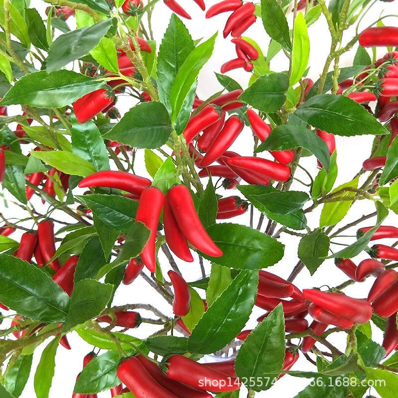 XRG-002 红辣椒1.08米 (4).jpg