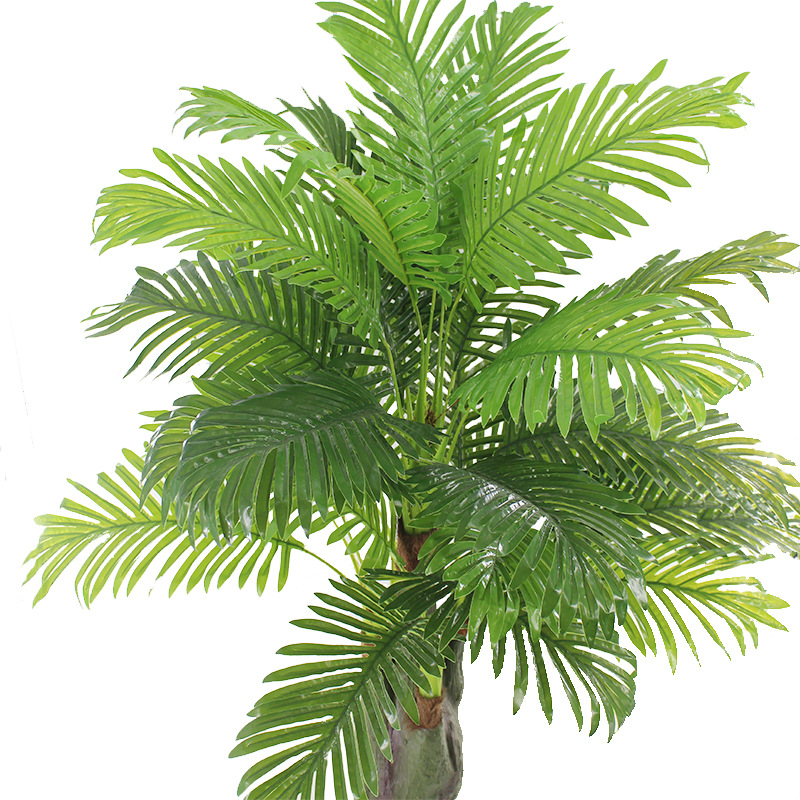 XRS-071五叉树头小葵叶29叶 (1).jpg