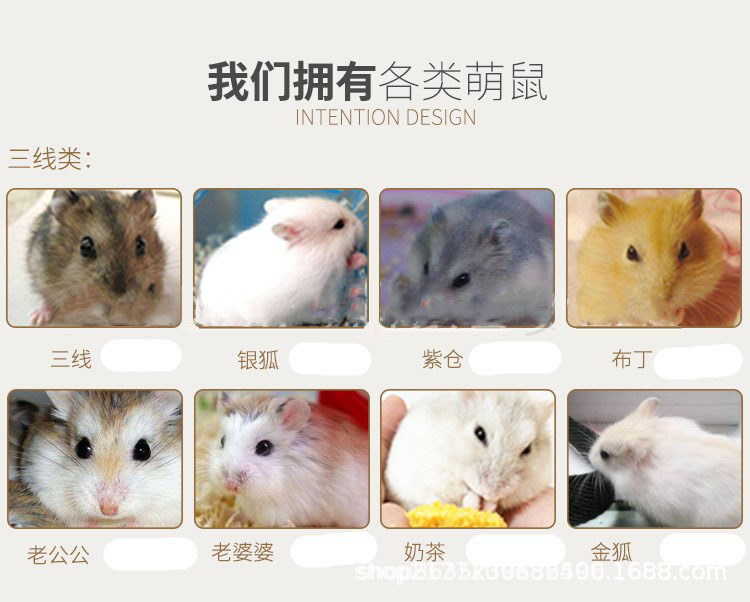 c4f260ae5441ee23b1e982473f3eb3