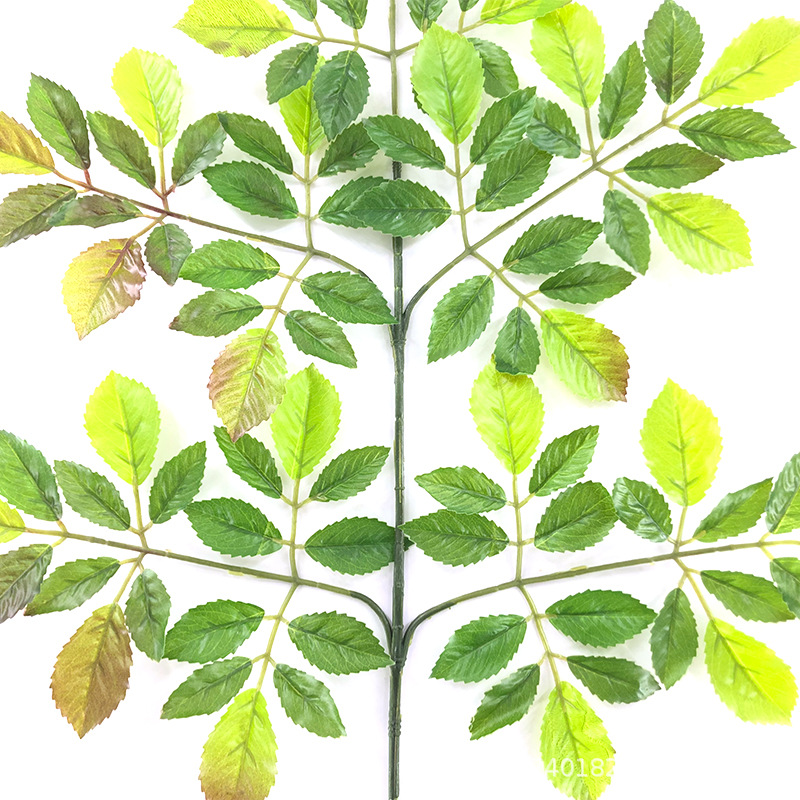 XRB-110 榆树叶五叉枝 (1).jpg