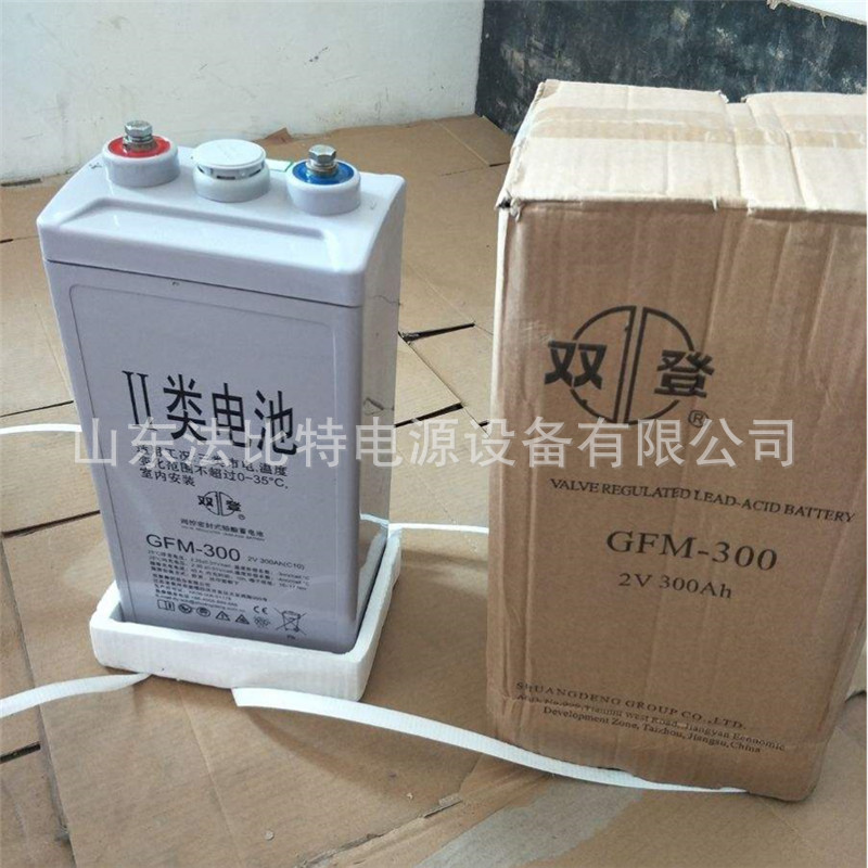 广东双登蓄电池GFM-200/2V200AH风能发电 双登蓄电池GFM-200