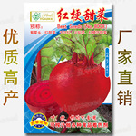 红梗甜菜种子 红甜菜籽 紫菜头 红菜头 千叶红 火焰菜 红梗菜种籽