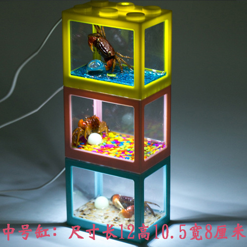 A lighting-equipped fish tank with a Lego fish tank, a small micro-landscape algae ball box, turtles, ants, pet fish box.