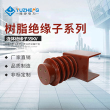 35KV连体绝缘子（PT手车、隔离车专用绝缘子）环氧树脂连体绝缘子