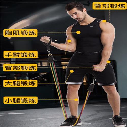 Resistance Bands Set of 11, Fitness Resistance Straps, Resistance Tubes, Factory Direct Sale, Wholesale