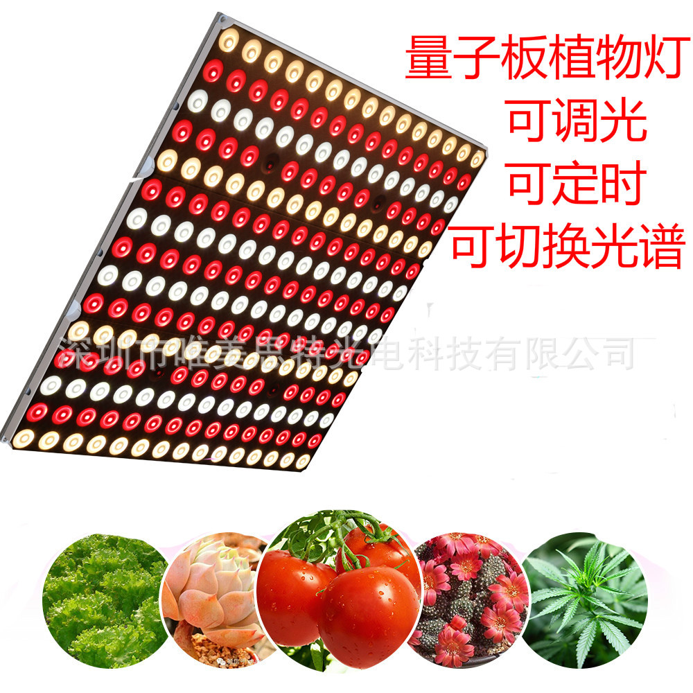 定时调光量子板LED植物灯 温室培育灯育苗生长灯 led植物补光灯|ms