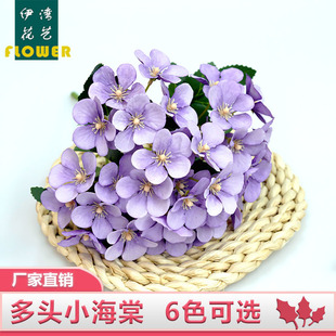 �����O�������Ļ����򻨼ٻ����ҾӔ[���廨������컨�S��ֱ�N