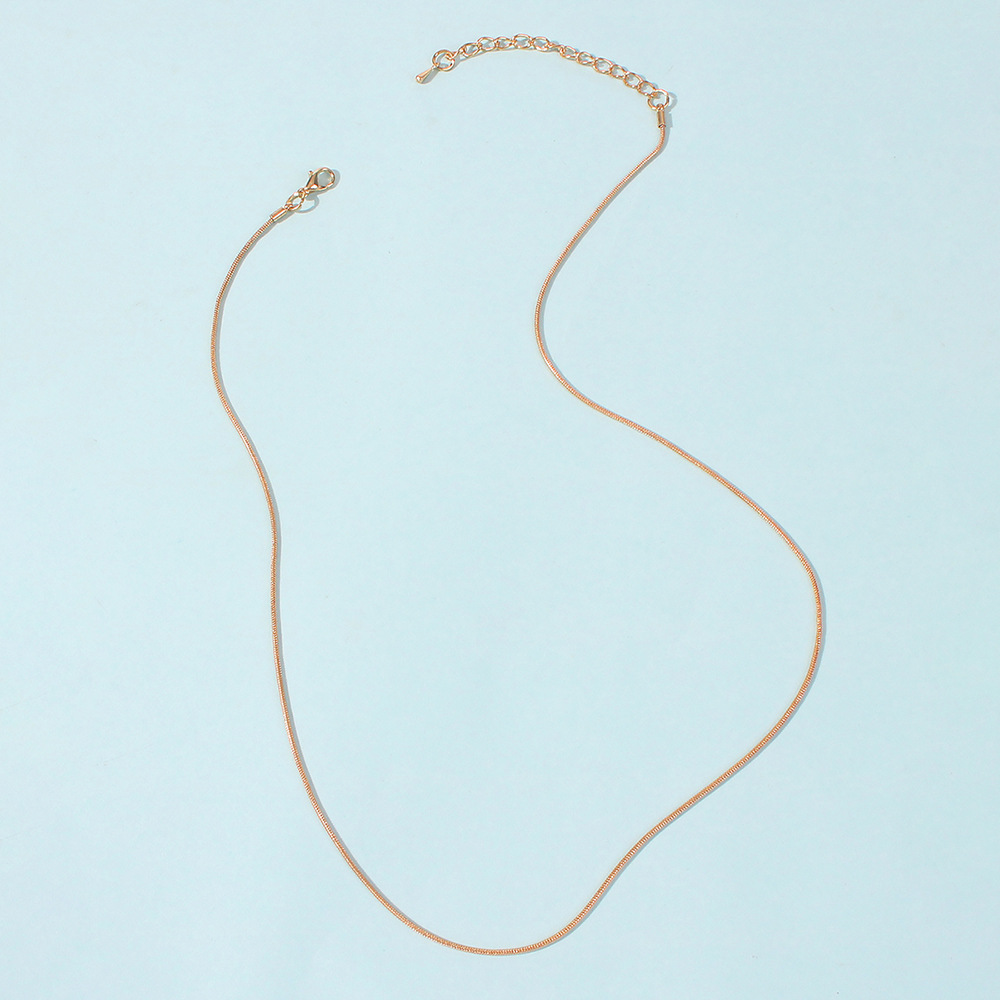 Hot-selling  Simple Snake Bone Chain Necklace display picture 12