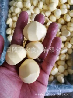 出口板栗仁