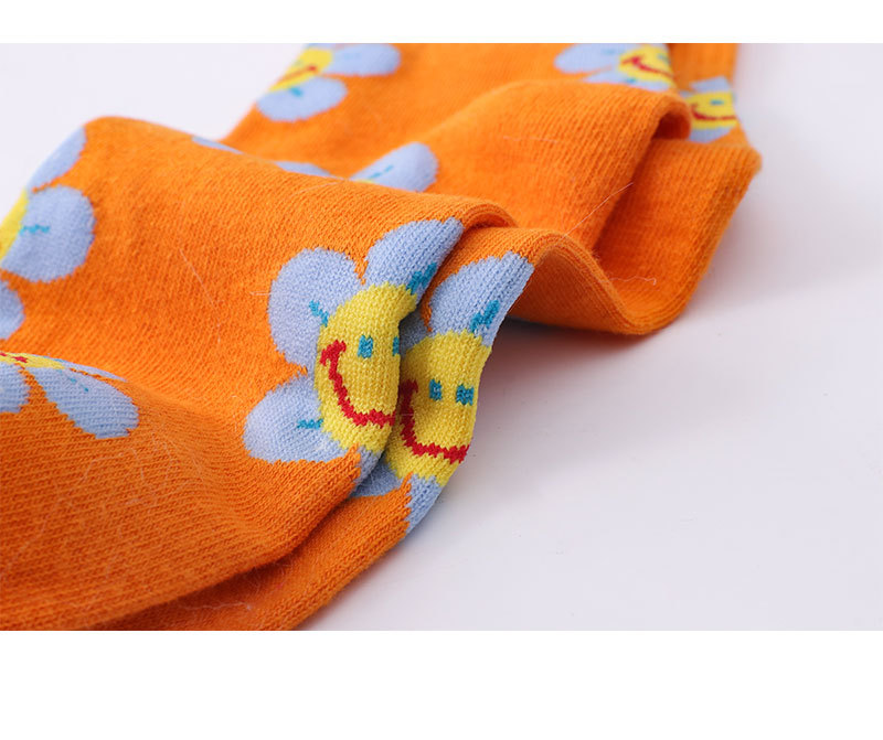Women's Gender Simple Style Style Women's Simple Style Color Block Cotton Crew Socks A Pair