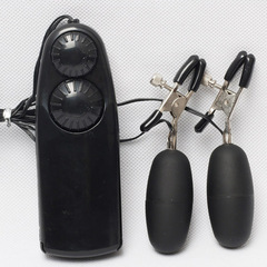 Fun vibrating egg breast clip adult products female orgasm masturbation female electric stimulation nipple vibration dual