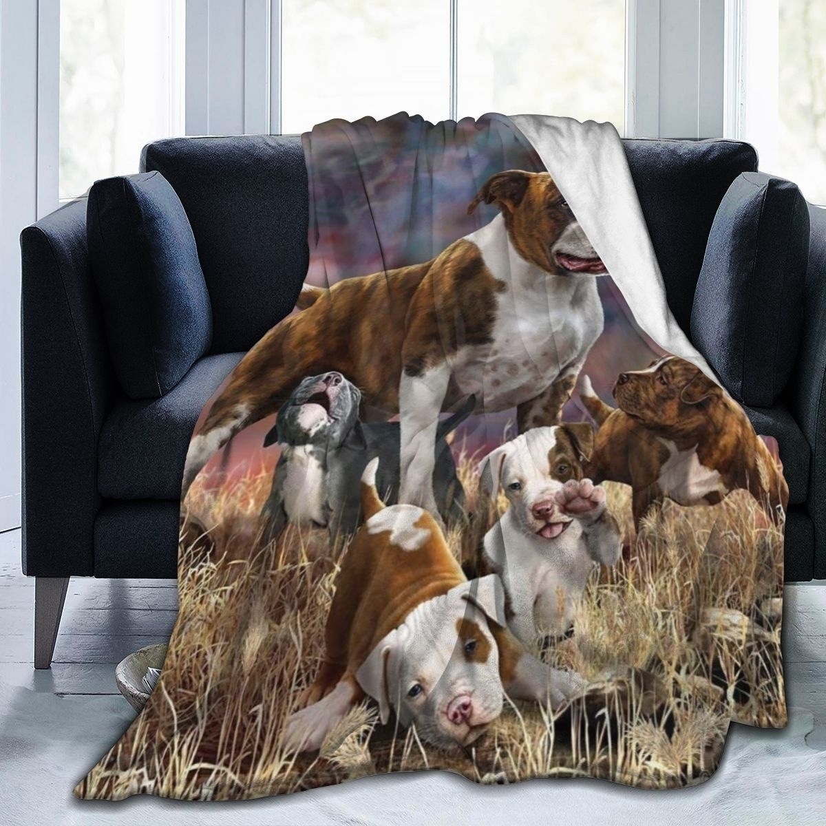 跨境法蘭絨毛毯