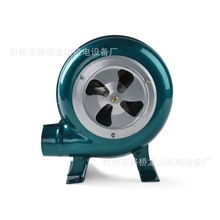 ����ɽ늄ӹ��L�C ����ʽ늄Ӡt��L�C80W�FƤ����ʽ���L�C