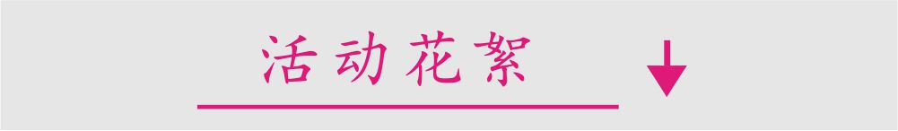 活动花絮分界线