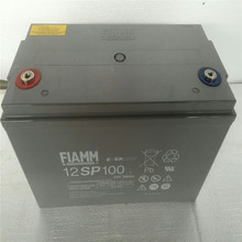 FIAMMǷ늳12V100Ah  ǷU12SP100늳  F؛