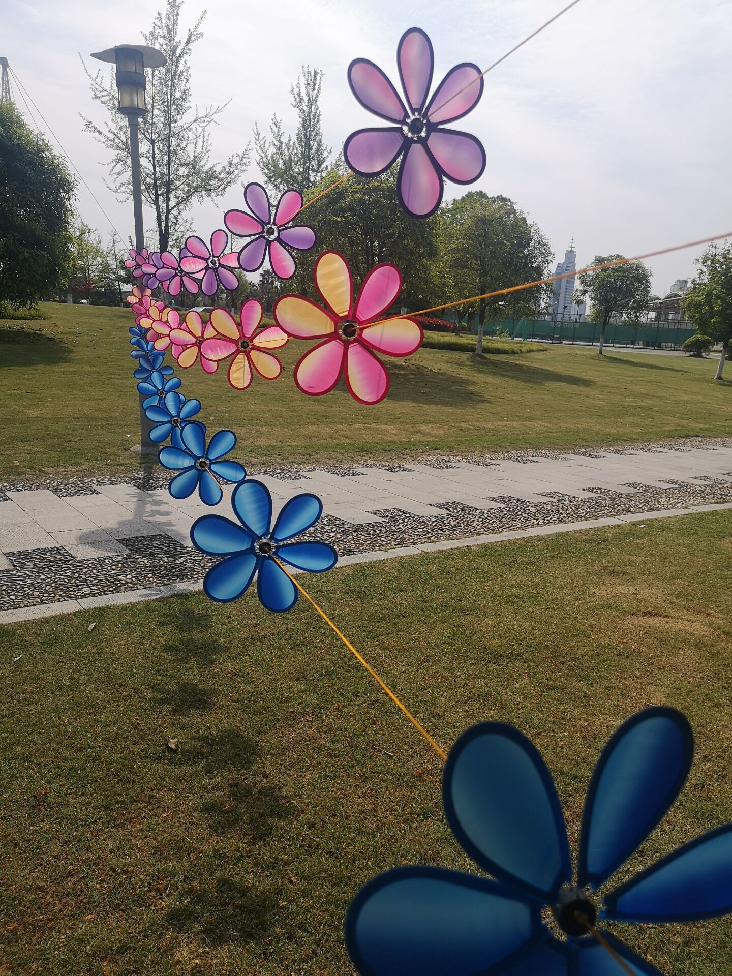 QQ图片20200411110242