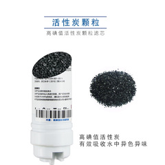 淨水器後置小T33濾芯椰殼活性炭顆粒淨水機後置純水機通用配件
