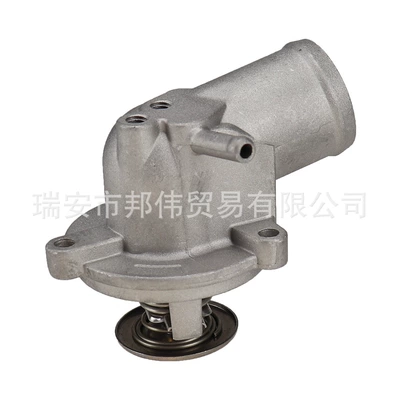 assembly 1112030875, Thermostat