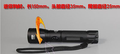 紫外线手电筒 型号LY82-3130库号M390024