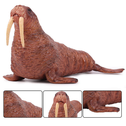 Children's simulated marine wildlife plastic model solid walrus static animal model toy ornaments