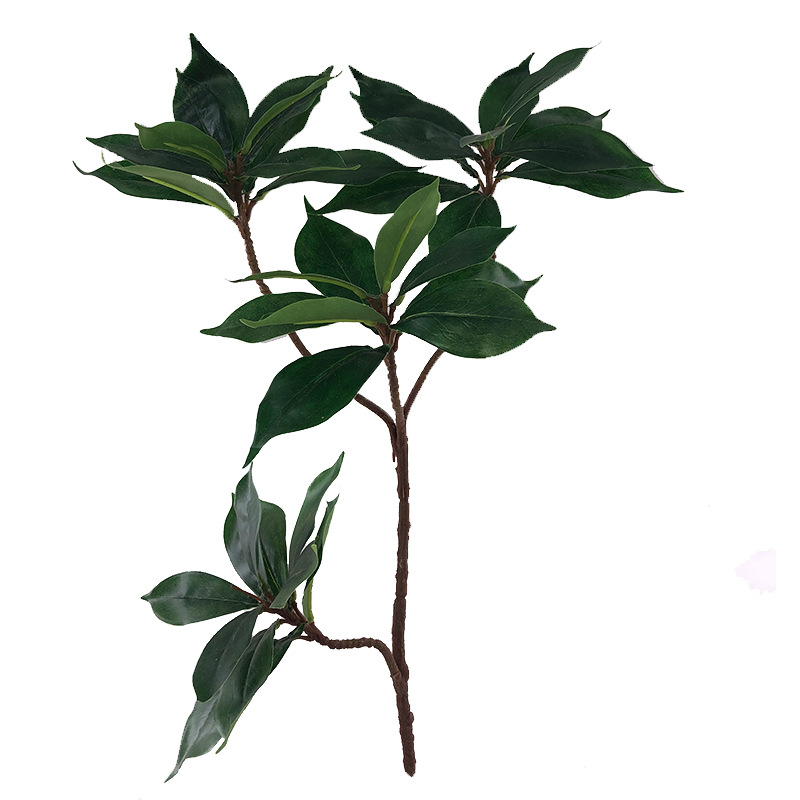 XRB-247 厚皮香四叉枝 (5).jpg