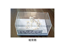43108�� �ܹ����˱� ��������������  �ܹ���ģ��