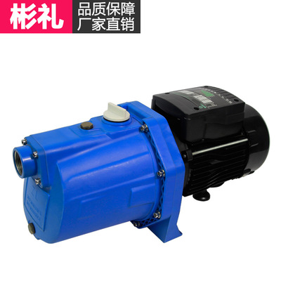 Jet pump household fully automatic 220V small-scale Booster pump Running water Pressure pump well Antifreeze Water pump