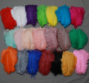 21ɫ�����F؛�r�Bë20-25cm ��c�W�t���b��r�B��ë �Ʒ����