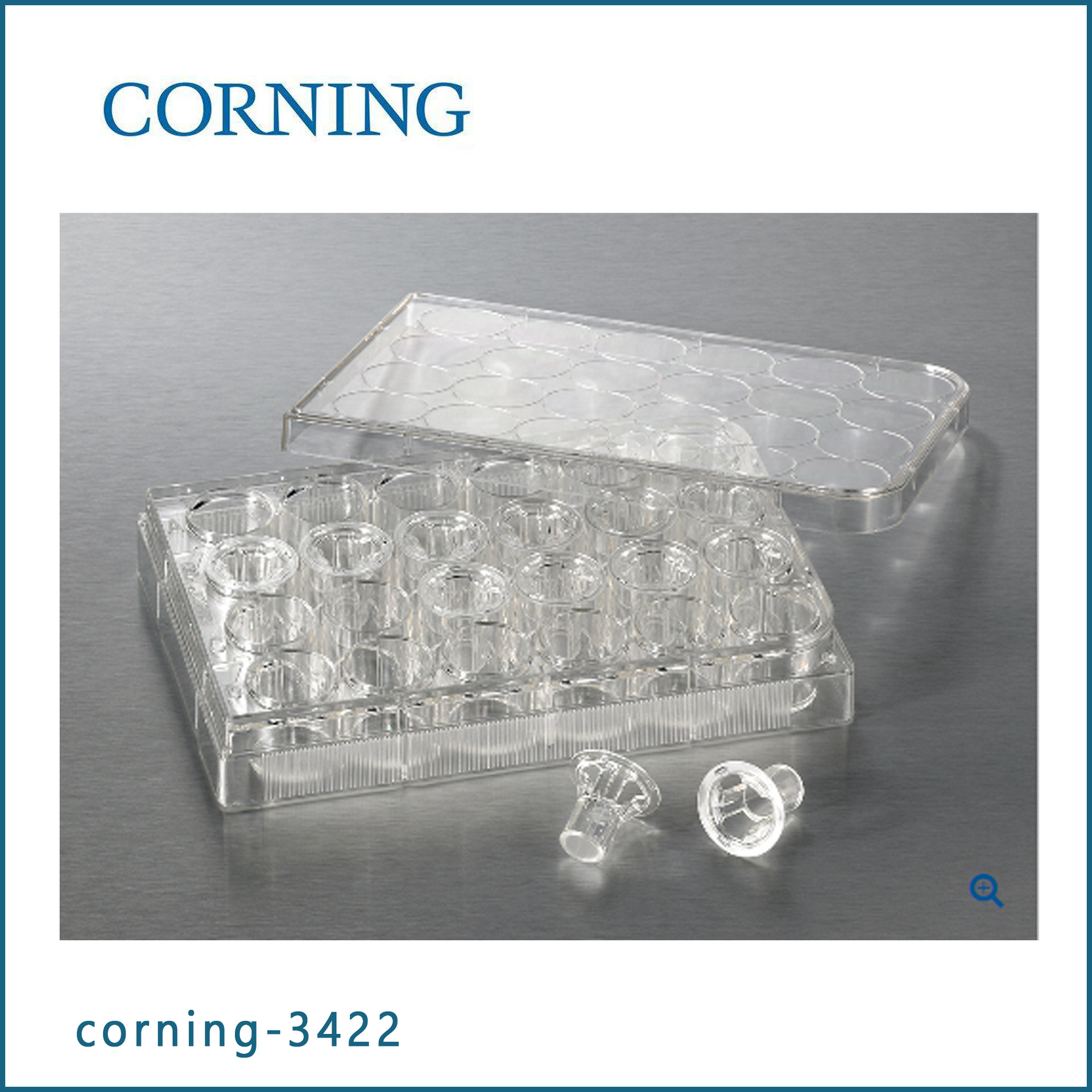 康宁Corning 3422 Transwell嵌套 (带聚碳酸脂膜6.5mm 8.0um)