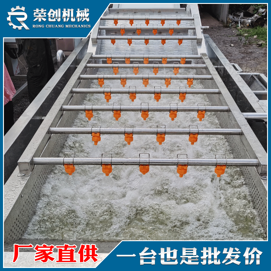商用白灵菇清洗机 气泡冲浪洋菇喷淋洗菜机菌类清洗流水线