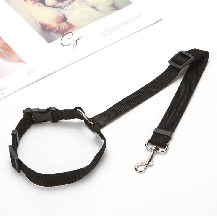 Cinturón de seguridad del perro mascota cuerda de tracción del coche cinturón de seguridad del coche dos en uno fuera cuerda de perro suministro de fábrica