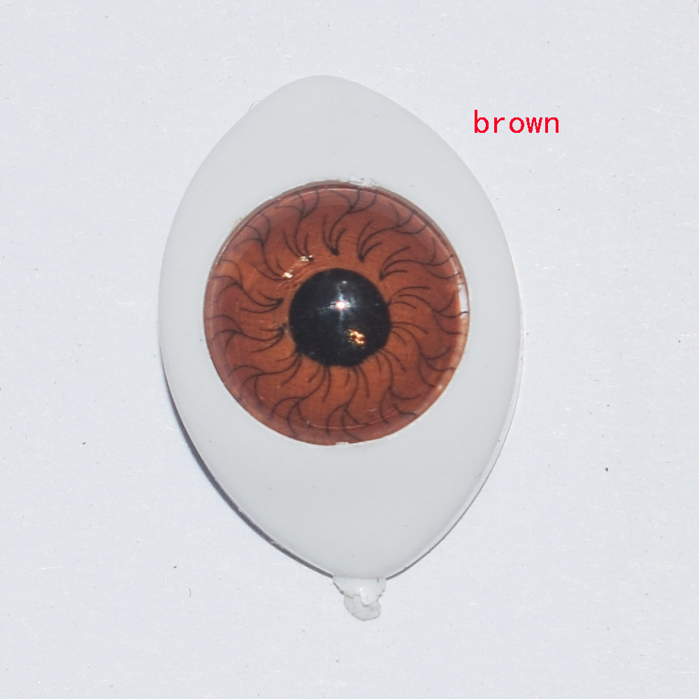 eye_taoci_brownDSC_0584