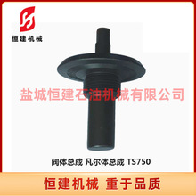 ʯ��荲����{����� �����y�w���� �����w����  TS750