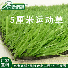 �\�������ƺ 5cm����������ƺ �̨��픑���չ�[�Gɫ��ƺ��̺