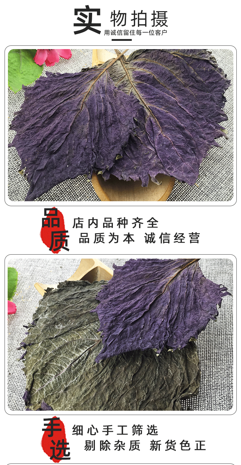 Dried Perilla Leaf Zi Su Ye 500g Farm Sun Dried Culinary Herb for Fish Crab and Shrimp Dishes quality and texture