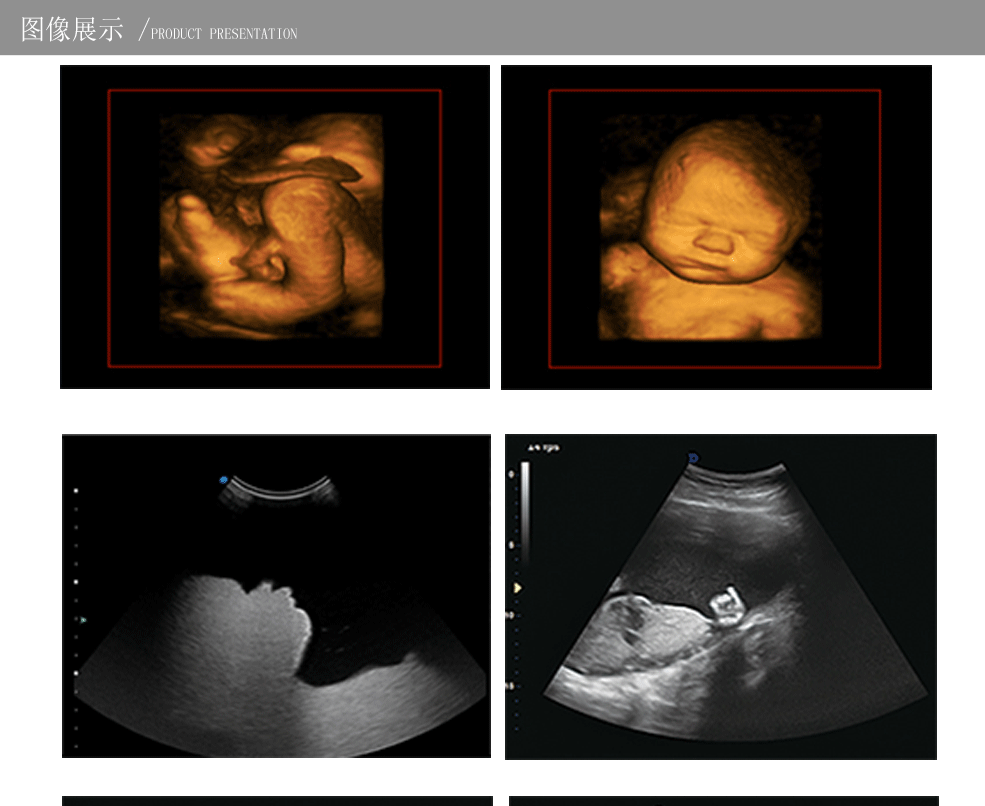 特制详情页582_21