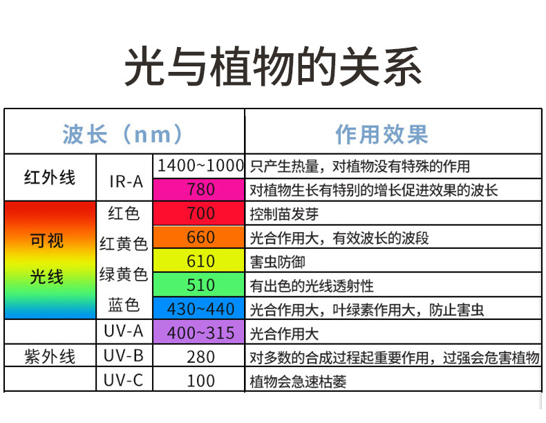 大麻灯-不带品牌名1111_16