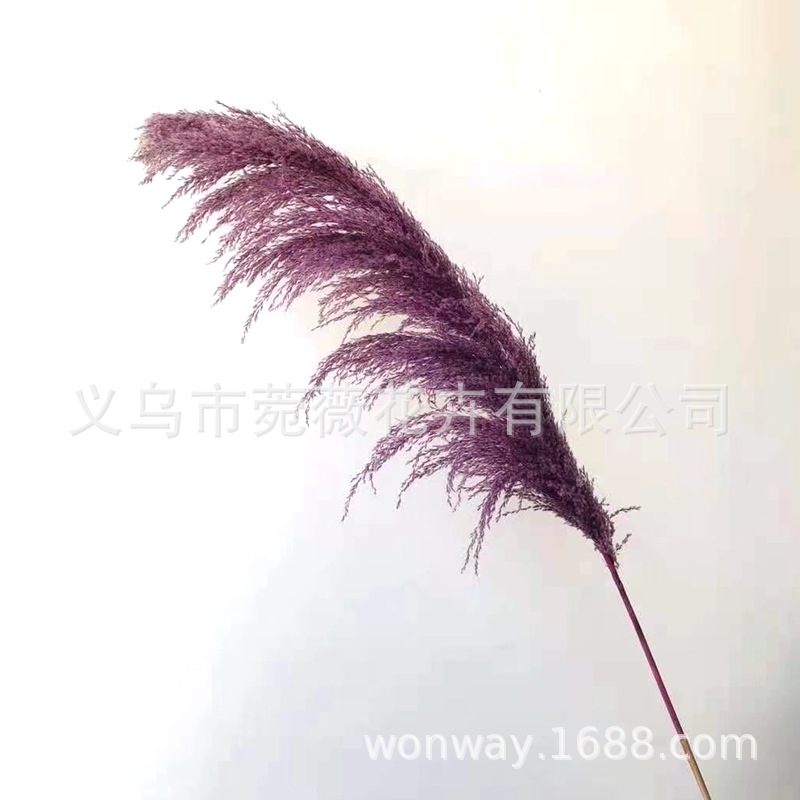 微信图片_20201122135057