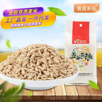 青源禾谷 燕麥胚芽米全胚芽燕麥米裸燕麥定制加工廠家直銷350g/袋