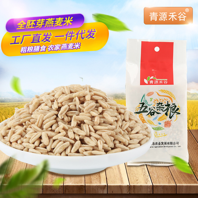 青源禾谷 燕麥胚芽米全胚芽燕麥米裸燕麥定制加工廠家直銷350g/袋