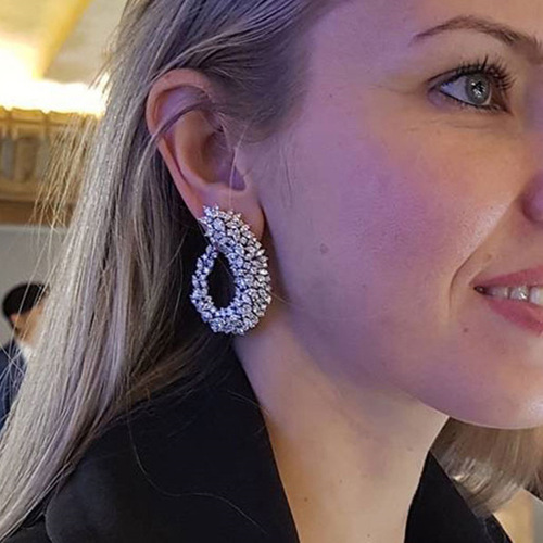 E0226 European and American Heavy Industry Star Fashion High-end Elegant Atmospheric Leaf Earrings Fully Inlaid with Zirconia, Charming and Versatile Earrings