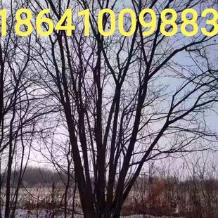 ��l�� ������l�� �|������؛ 3-10��С�^�S�^�G���＾�~�Ӽtɫ