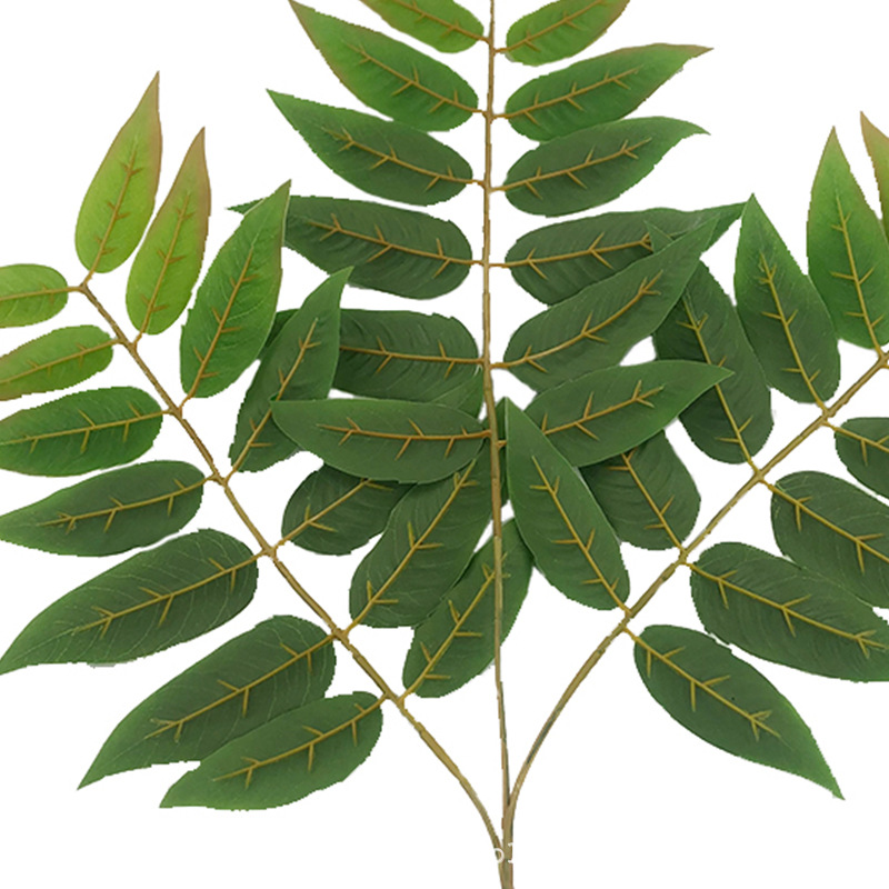 XRB-151天堂叶三叉枝 (6).jpg