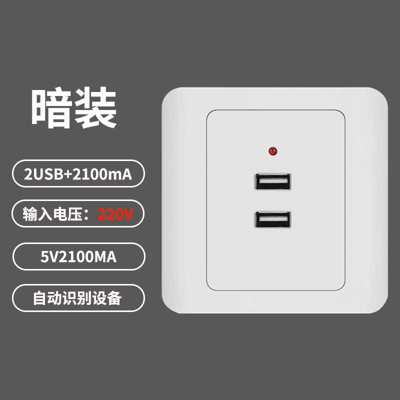 暗装2USB-220V.png