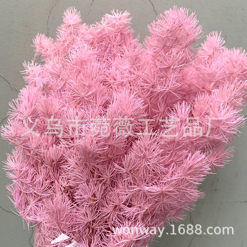 微信图片_20200607223457