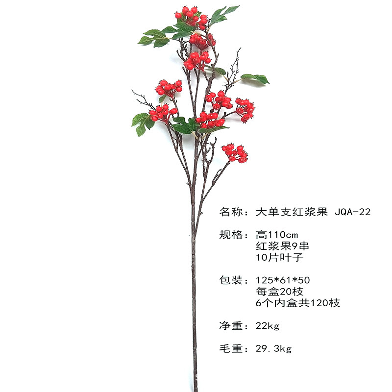 XRG-004 大单枝桨果1.1米 (1).jpg