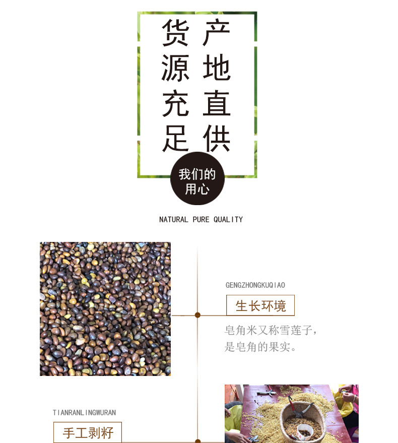 Dried Gleditsia Sinensis Seeds Snow Lotus Seed 500g Double Pod Zao Jiao Mi key features