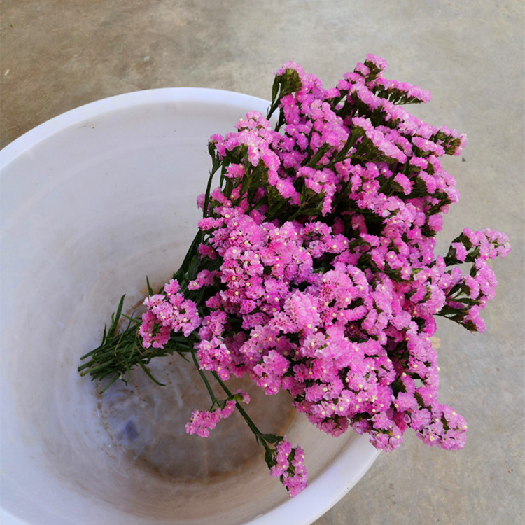 微信图片_20191011080707_副本