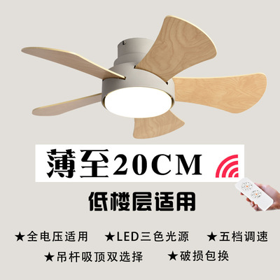 floor Fan light Northern Europe household Restaurant kitchen suspended ceiling one originality Ceiling Fan Ceiling fan lamp