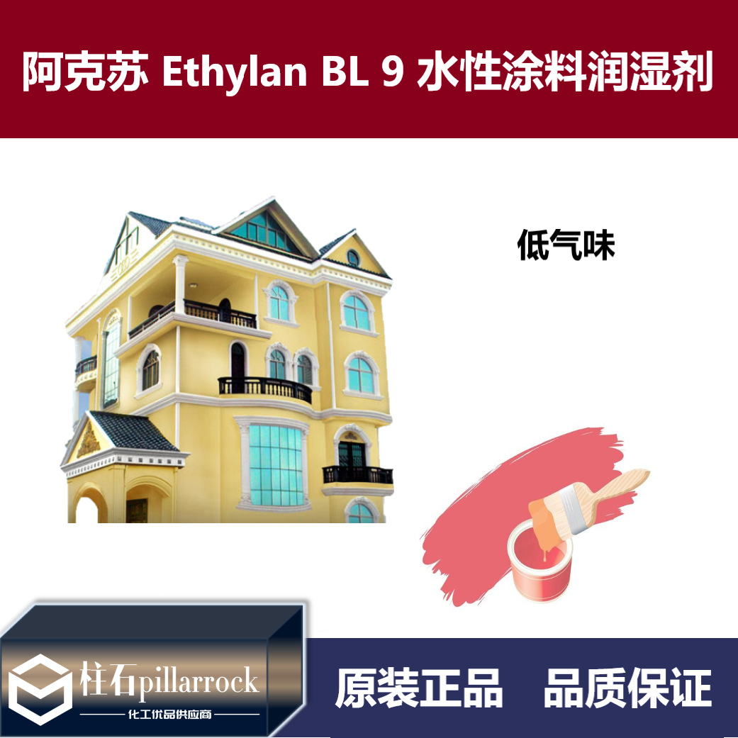 阿克苏诺贝尔Ethylan BL 9水性涂料低气味润湿剂